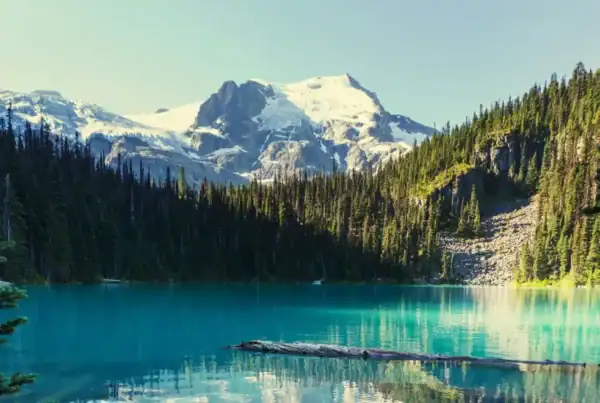How Australians Can Prepare Financially for Moving to Canada