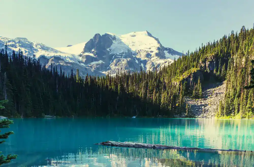 How Australians Can Prepare Financially for Moving to Canada