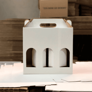Caja botella x3 1