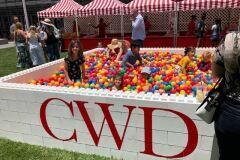 Company Picnic Cw Driver