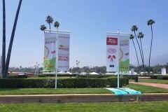 In N Out Company Picnic