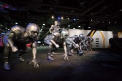 Playoff Fan Central 22