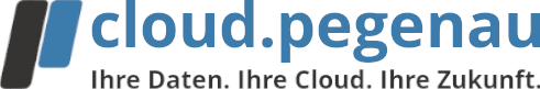 Pegenau GmbH & Co. KG Logo
