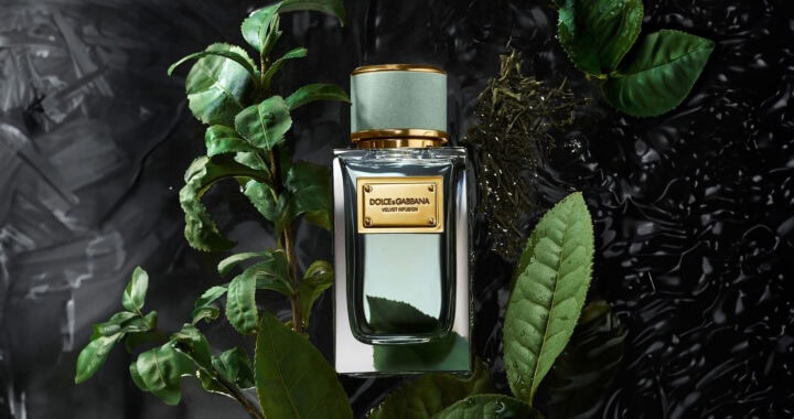 Dolce & Gabbana Velvet Infusion: A Journey Through Scent 0 (0)