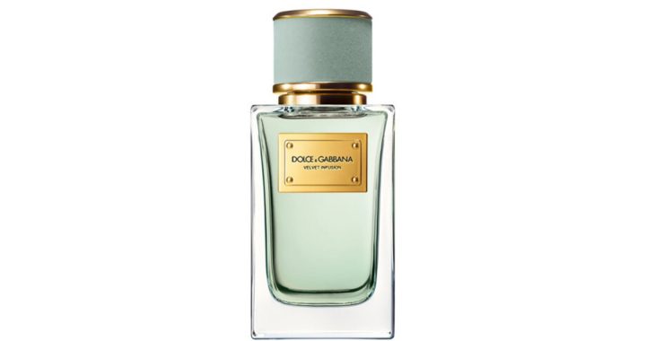 Dolce & Gabbana Velvet Infusion 2024
