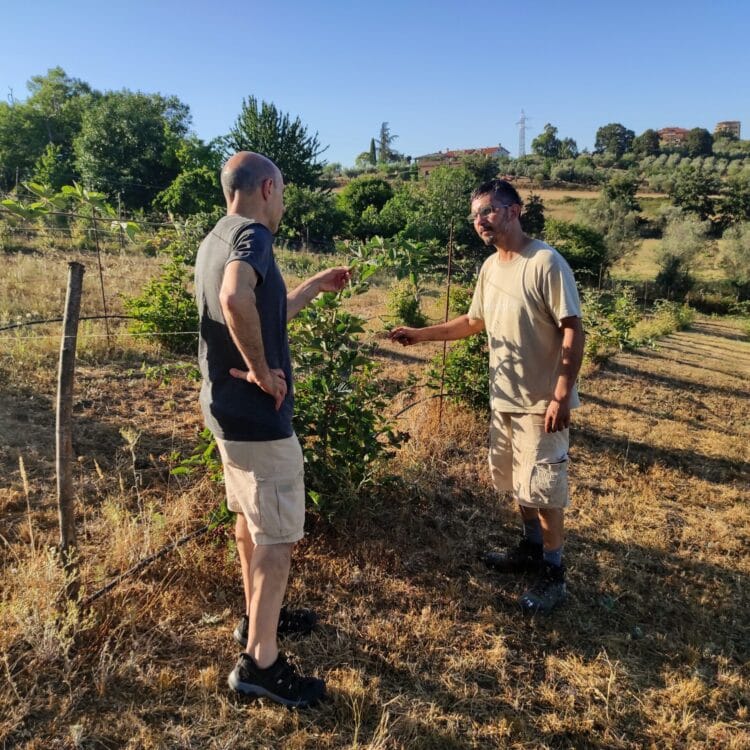 Visita Lamponi More Alberto