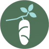 cropped-cropped-pille-logo-07-1.png
