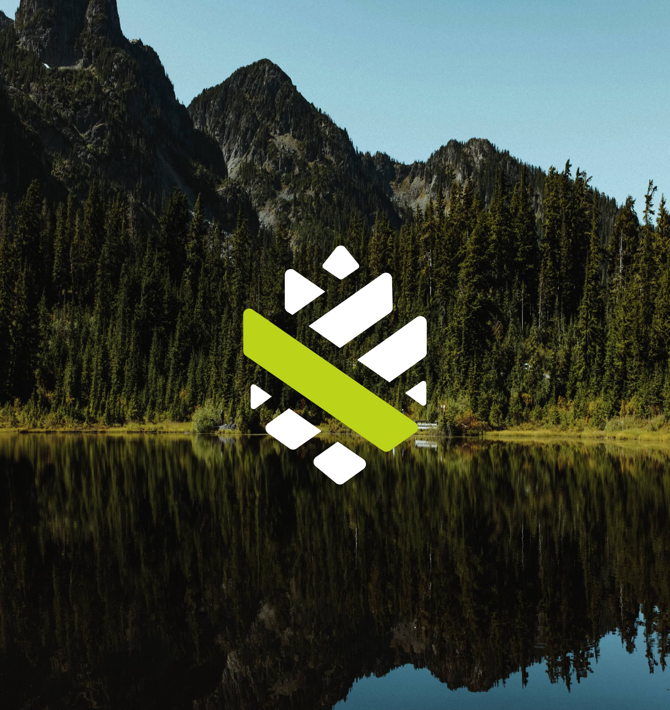 Vermont Community Foundation brand logo