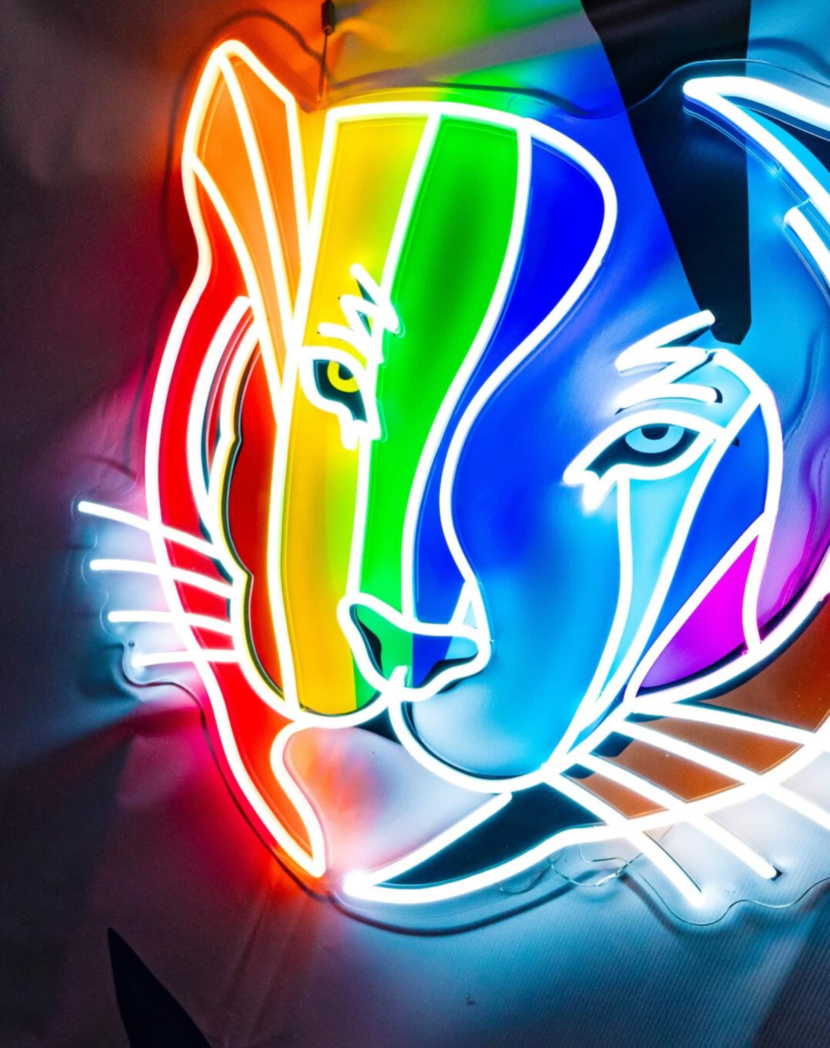 Princeton Every Voice LED tiger logo lit up