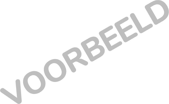 eerste schadevoorbeeld
