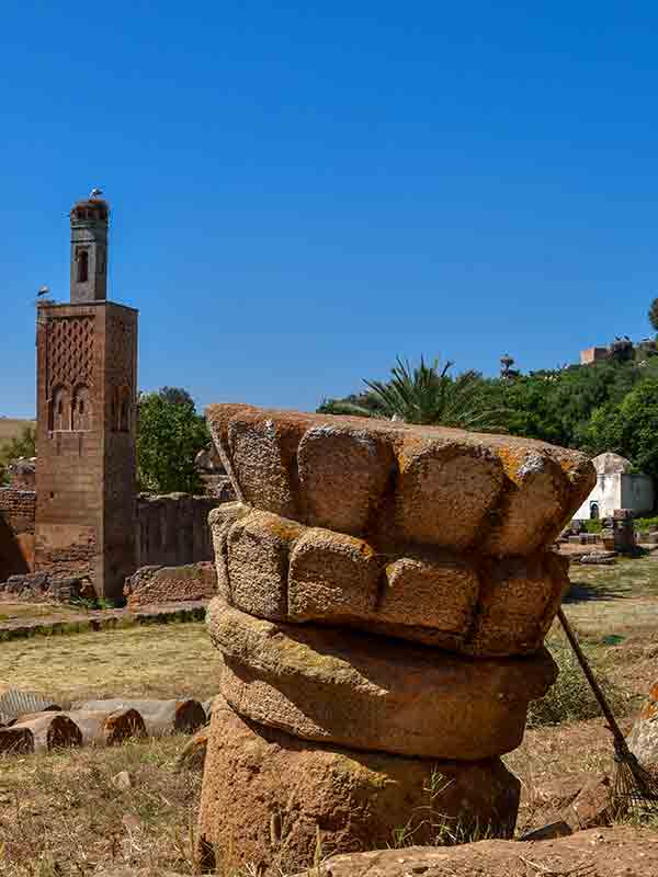 chellah-colonne-2019