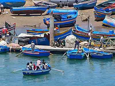 barcassiers-debarcadere-sale-2019