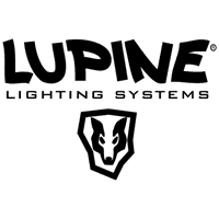 LUPINE