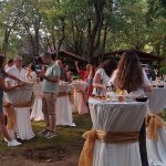 İstanbul Organizasyon Şirketleri Arasında Size Özel 6 Paket | Hemen Seç, Teklifinizi Al