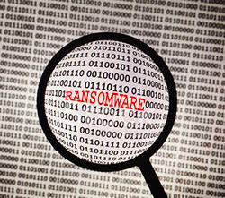 Outil de dechiffrement du ransomware Crysis