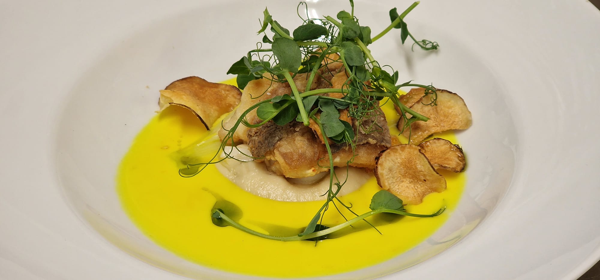 Fantastisk smuk madoplevelse med restaurant parkens selskaber i esbjerg