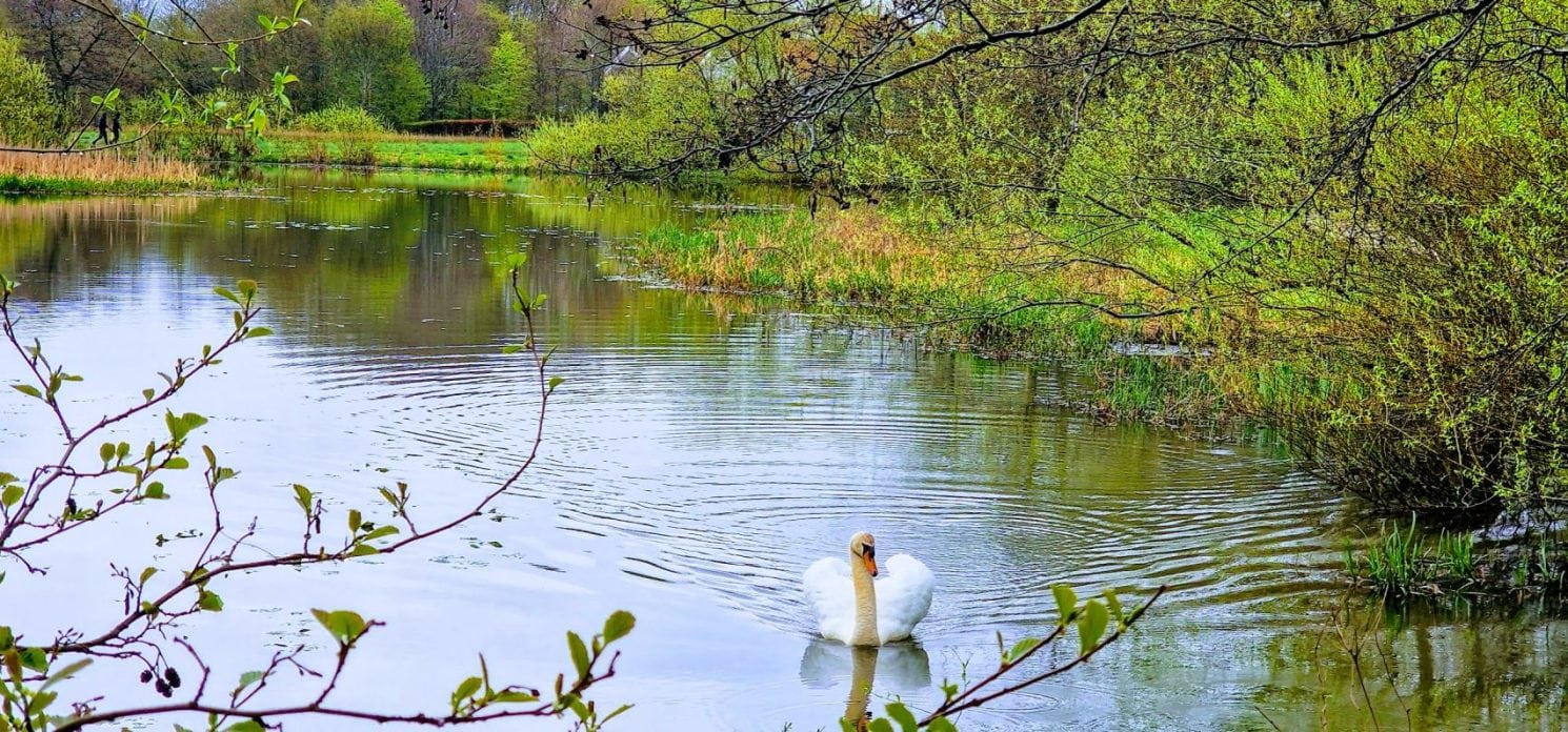 De smukke omgivelser ved Restaurant Parken i Esbjerg