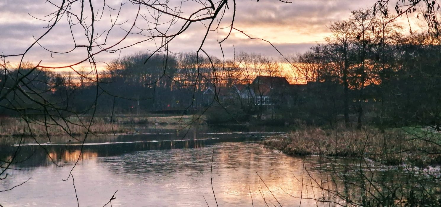 Smuk natur om natten ved Restaurant Parken