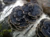IMG-20140105-00092