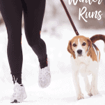femaler runner in cold weather with dog