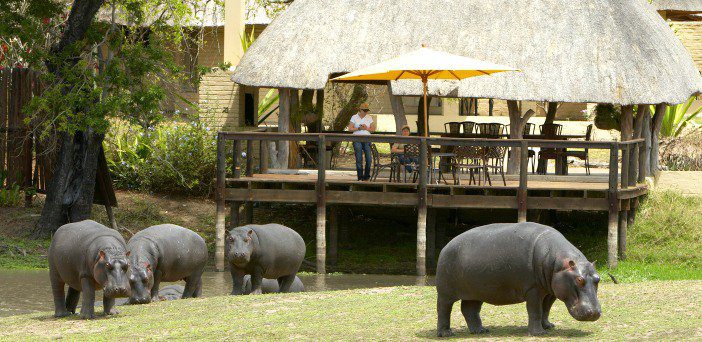 Arathusa Safari Lodge Sabi Sands 31
