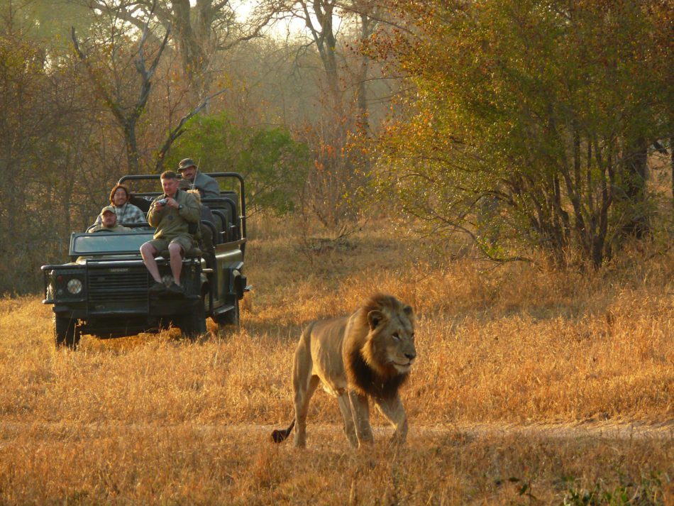 Umkumbe Safari Lodge 29 e1494073900971