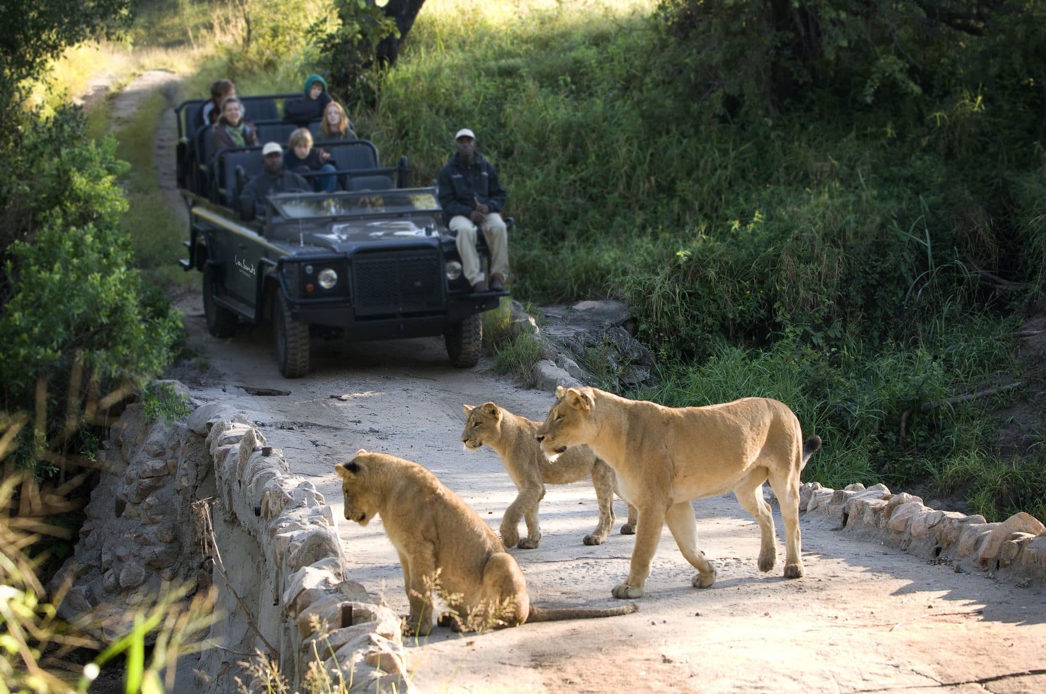 Ivory Lodge Lion Sands Images 7
