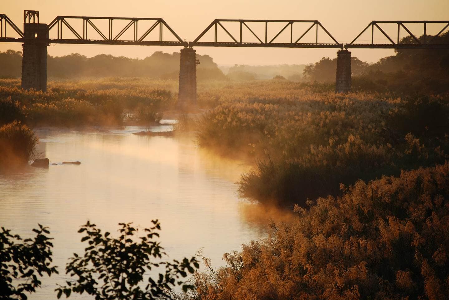 kruger national park skukuzarestcamp