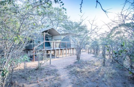 tydon safari camp 4