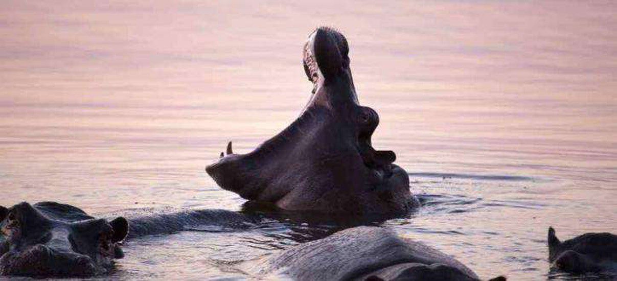 11 day kruger park victoria falls and botswana tour 4