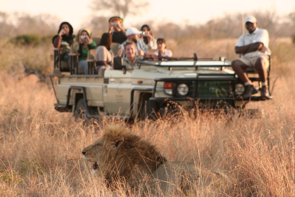 manyeleti big five game drive