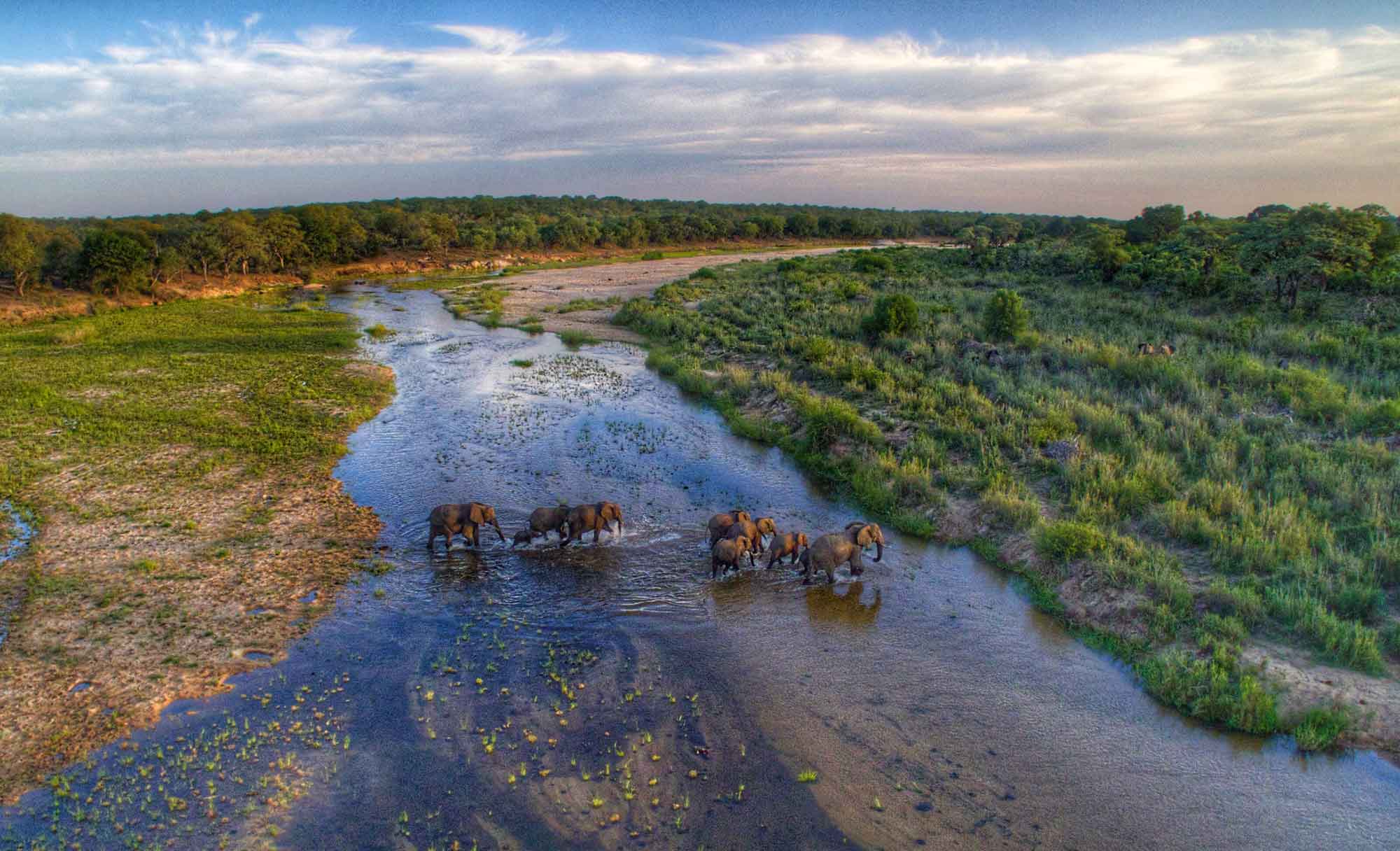 umkumbe safari lodge new 19