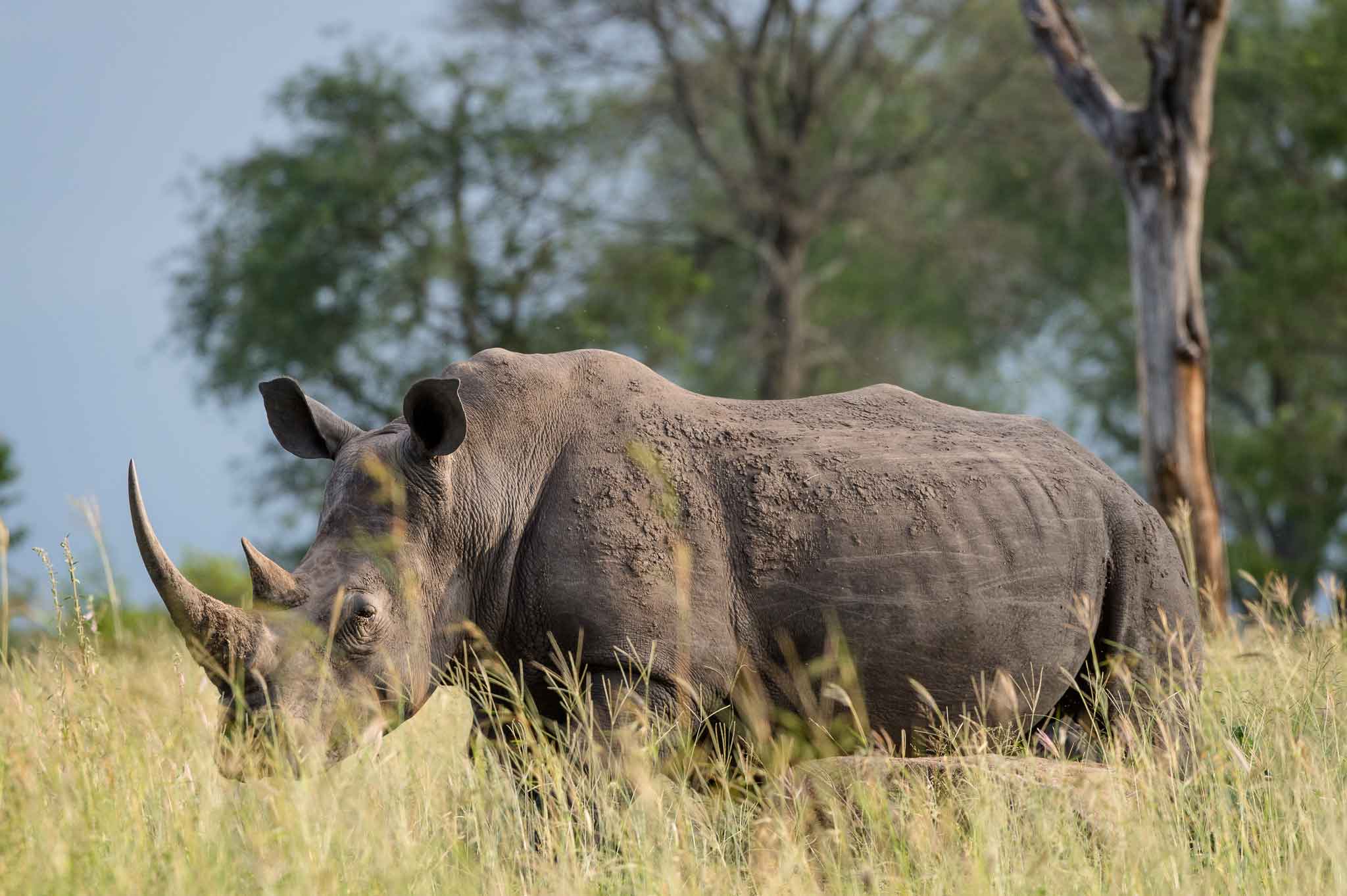 umkumbe safari lodge new 2