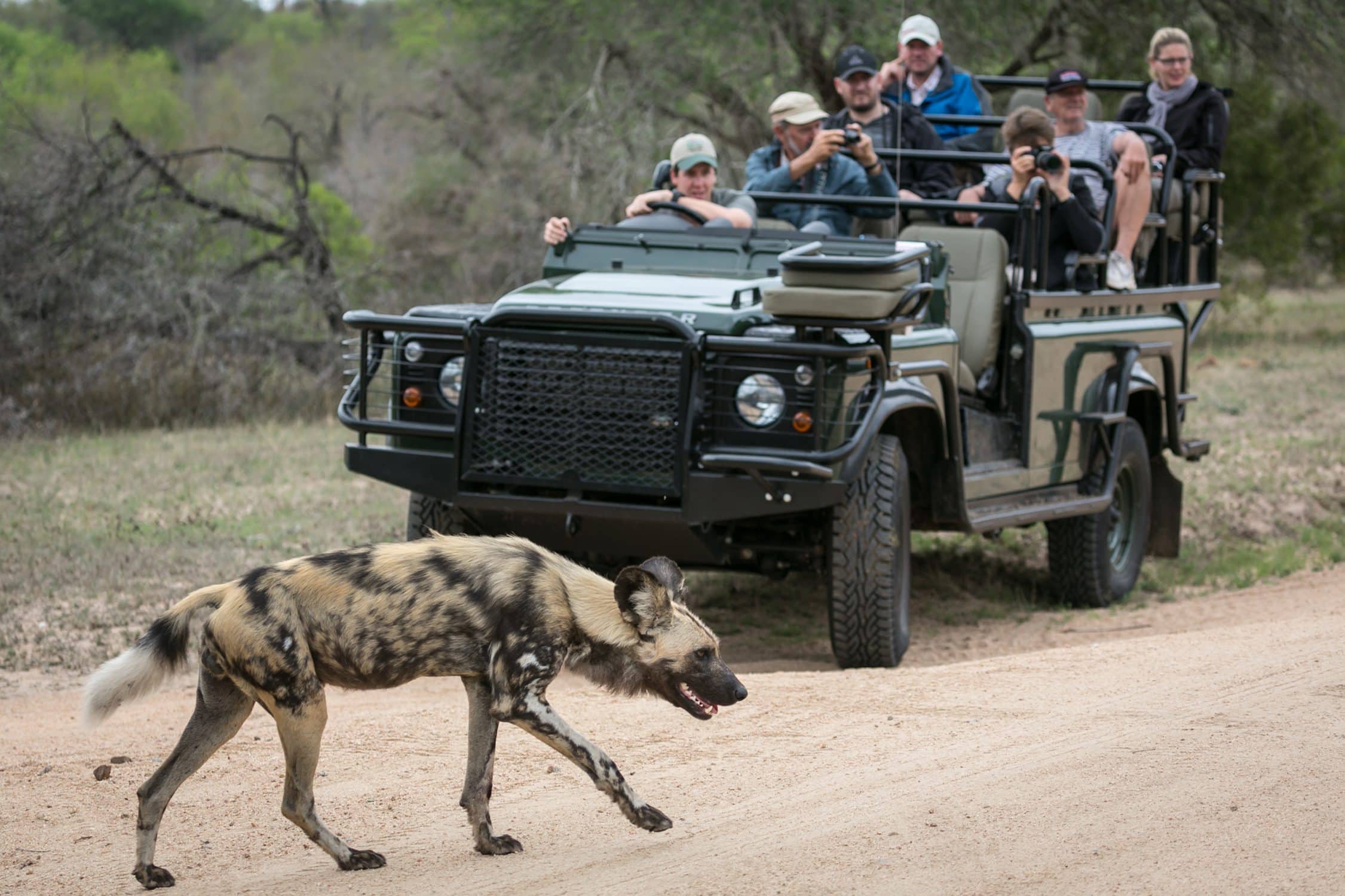 umkumbe safari lodge new 6
