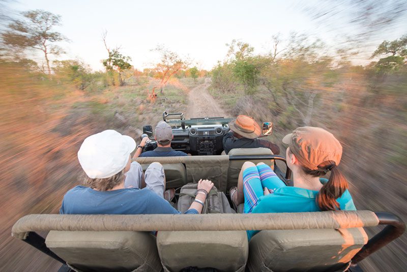ndzhaka buffelshoek manyeleti game drive 55