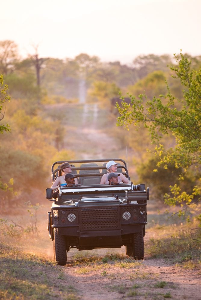 ndzhaka manyeleti game drive 24