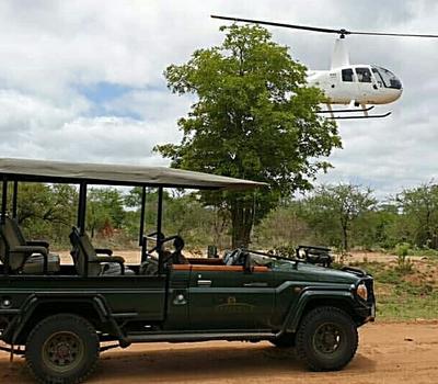 chisomo karongwe images kruger 39