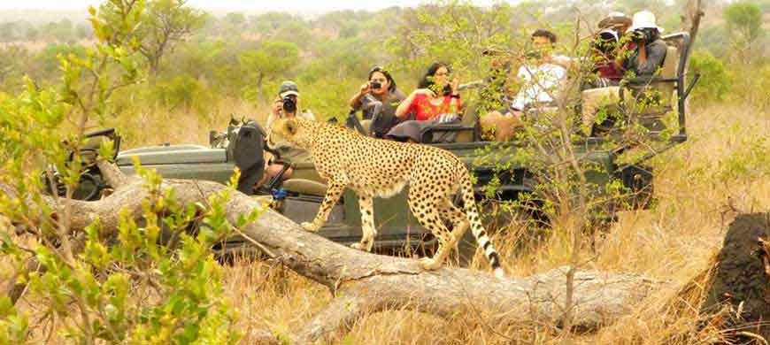 Umkumbe Safari Lodge wide2