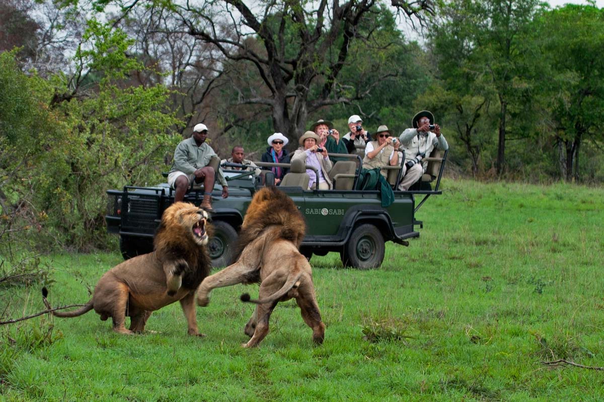 googyear safari sabi sabi little bush silvan one and only cape town winelands blue train 13