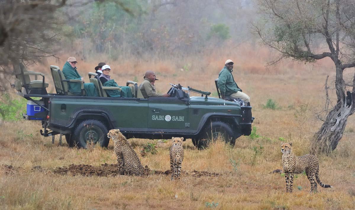 googyear safari sabi sabi little bush silvan one and only cape town winelands blue train 14