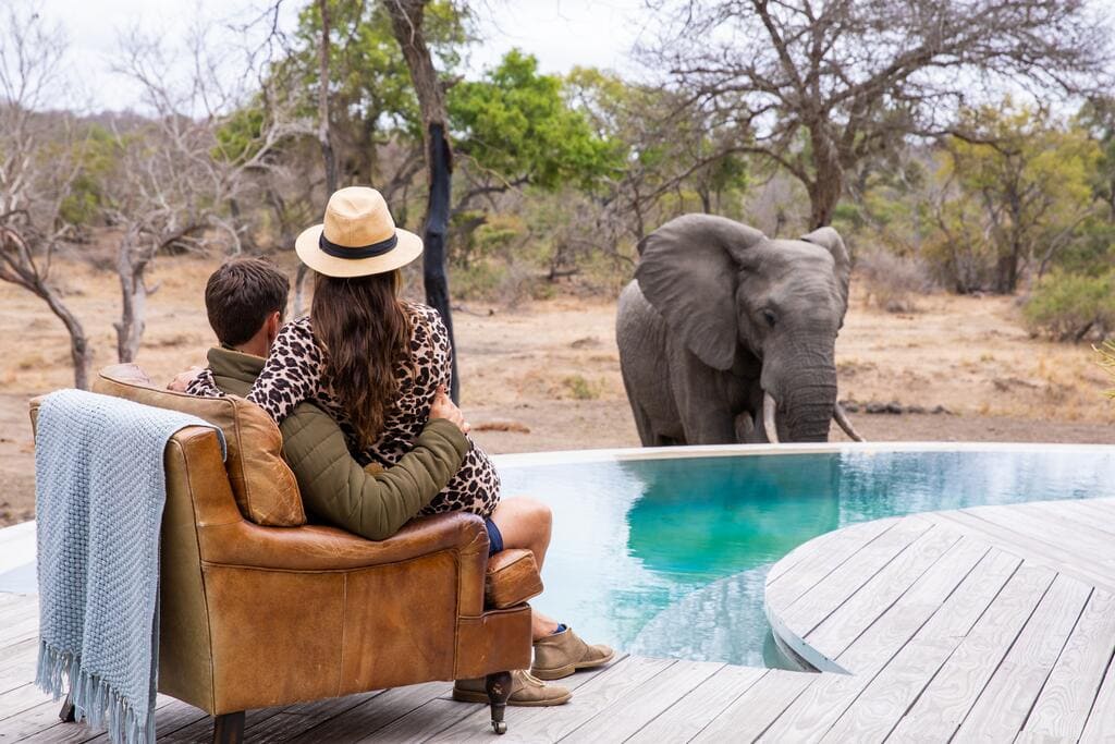 Sivit safari lodge - thornybush the river lodge 18