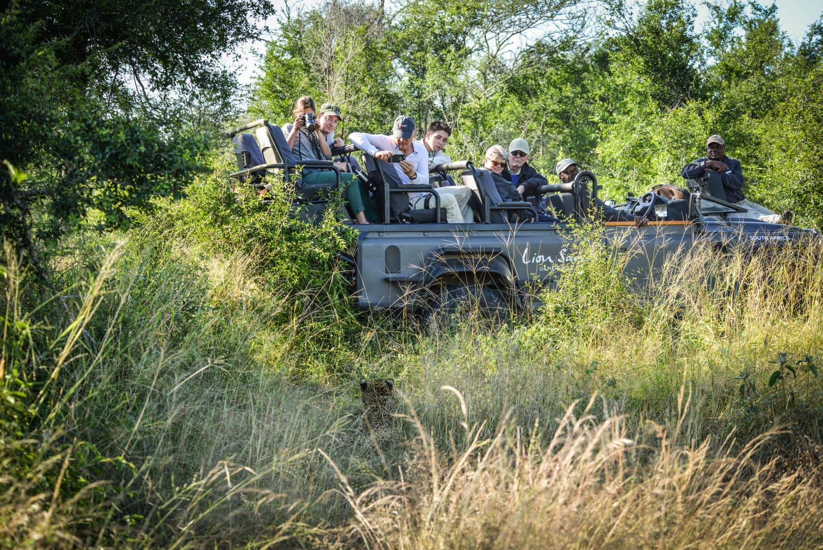 lion sands narina lodge kruger national park 40