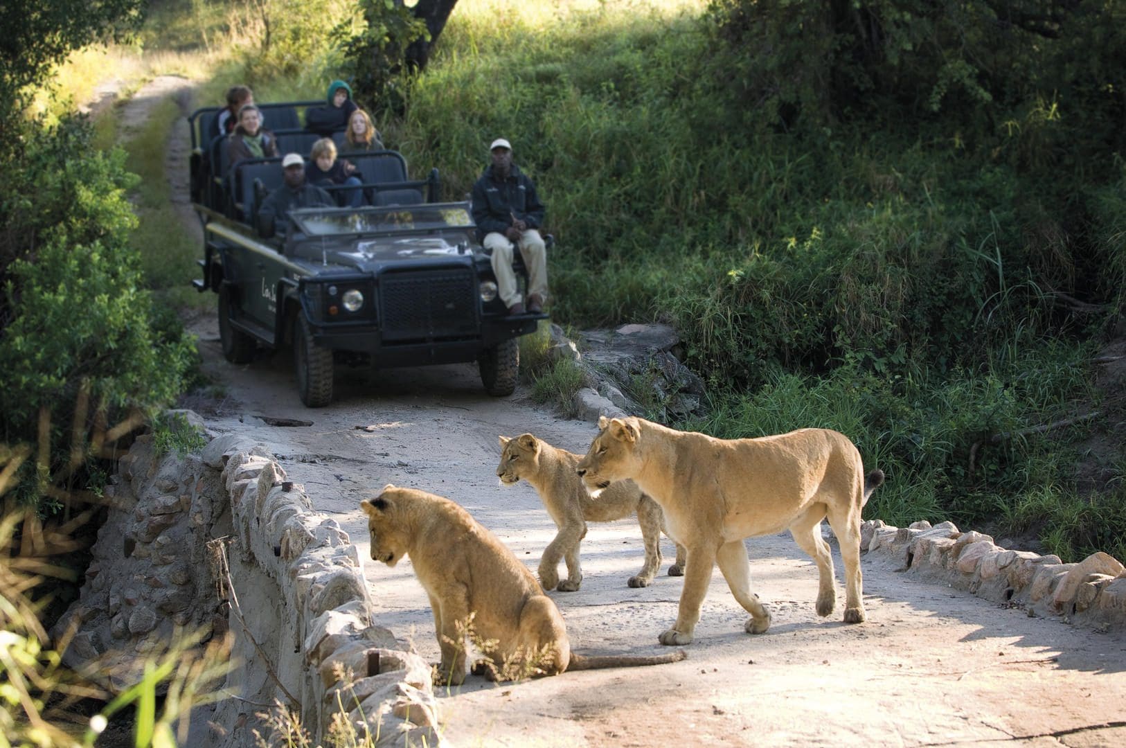lion sands river lodge images 2021 46