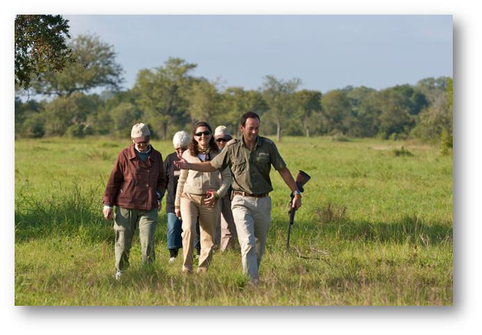 sabi sabi little bush camp sabi sands lodges reservations 1 1