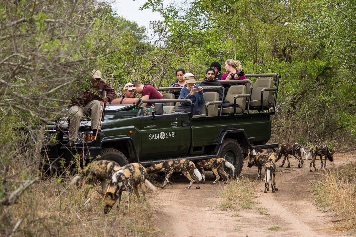 sabi sabi little bush camp sabi sands lodges reservations 32
