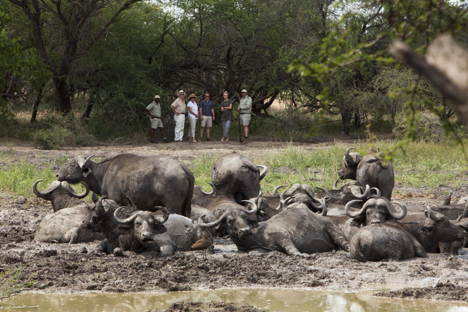 Kapama River Lodge 10