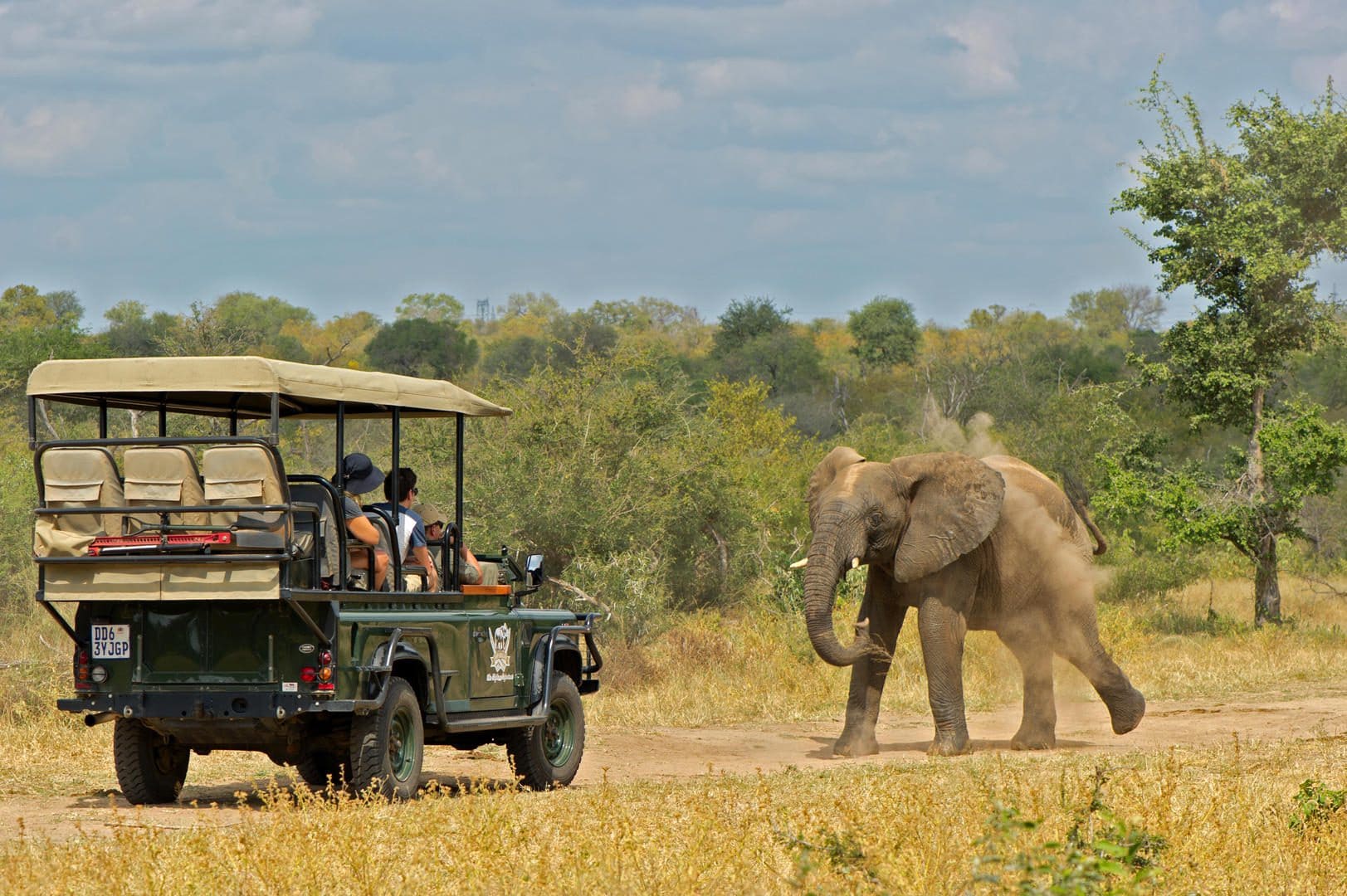 jabulani safari lodge camp kruger kapama images 33