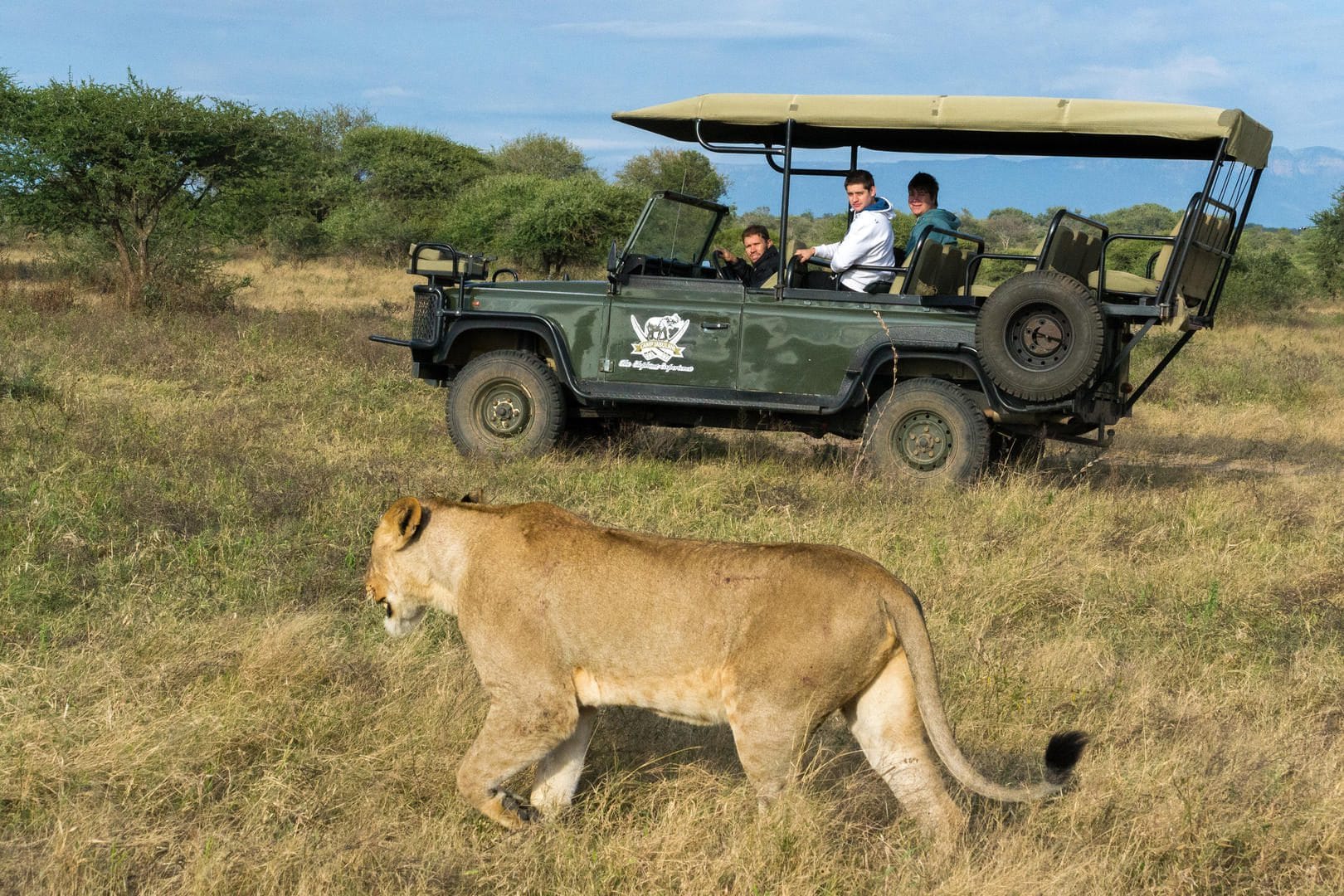 jabulani safari lodge camp kruger kapama images 40