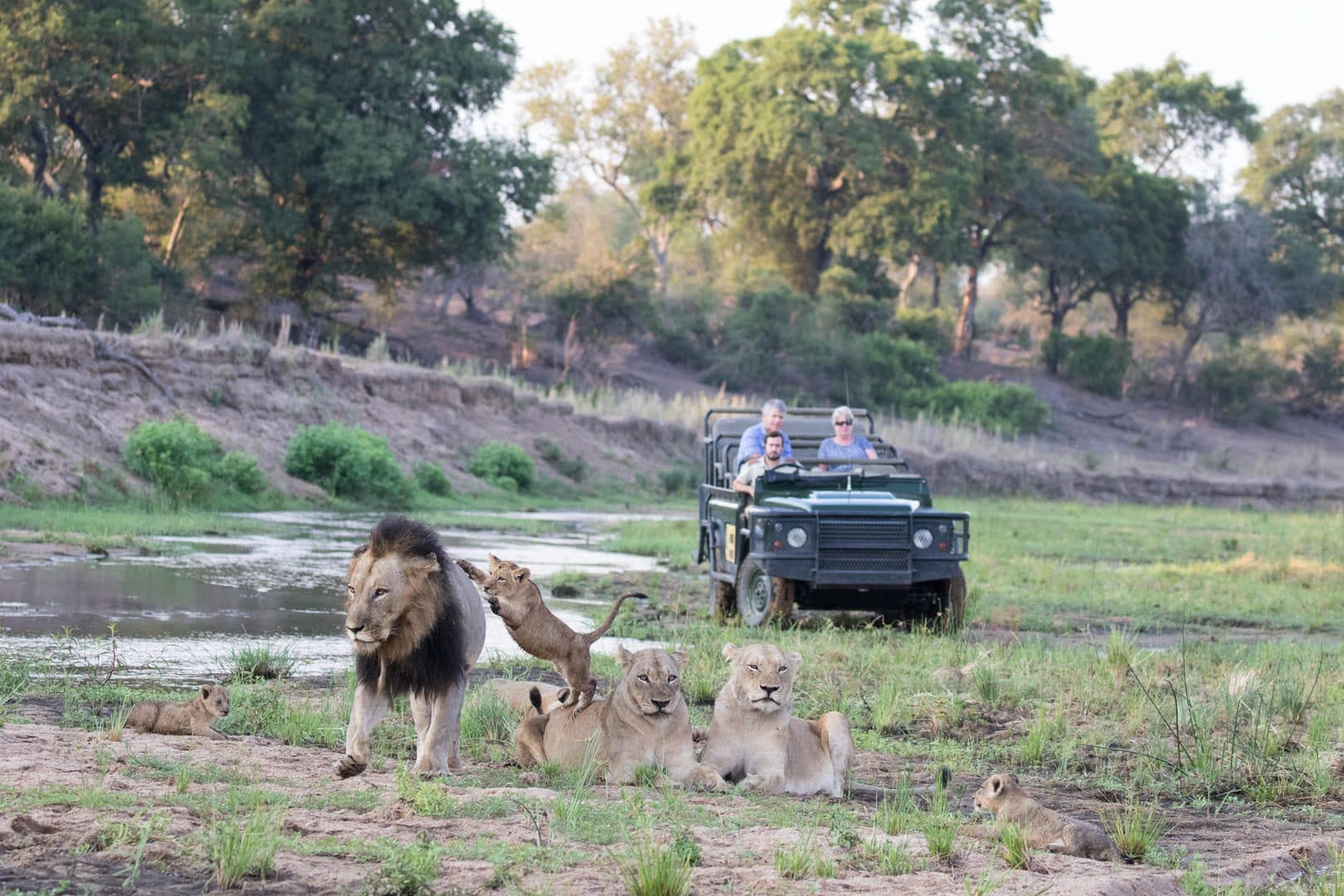 malamala camp images sabi sands lodges 34