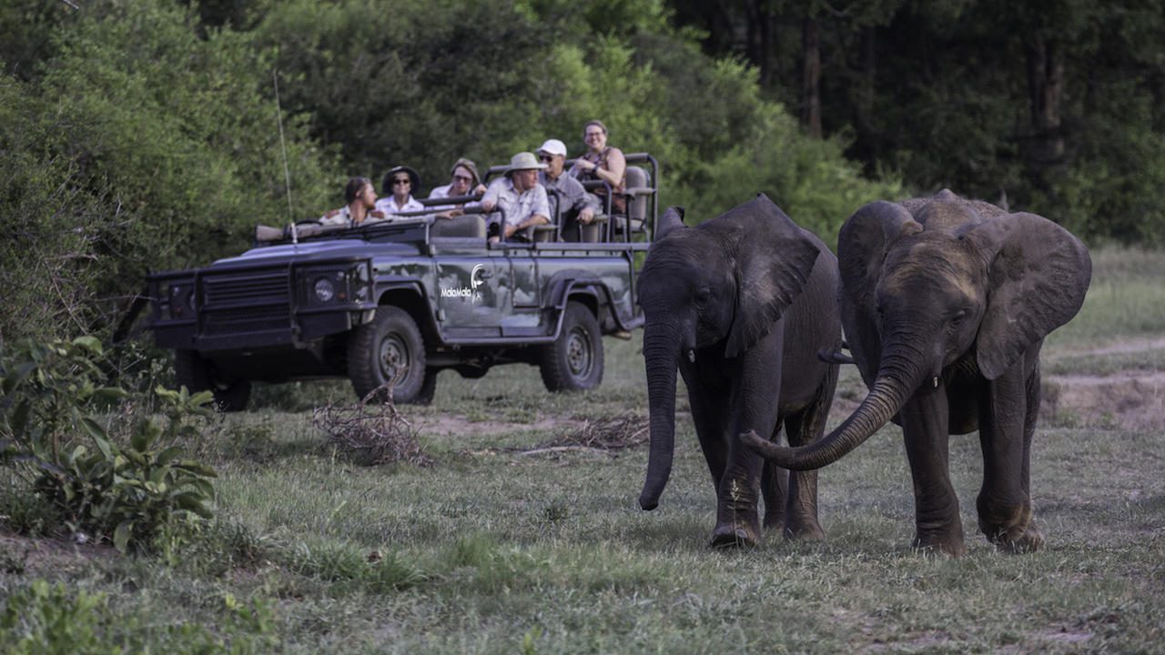 malamala camp images sabi sands lodges 65